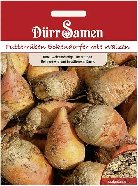 Dürr Samen Futterrüben Eckendorfer Rote Walzen Saatgut für Frühsaaten - Bild 1