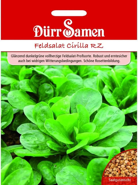 Dürr Feldsalat Cirilla Rz Saatgut - Bild 1