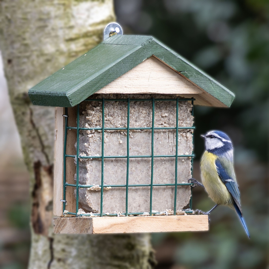 CJ Wildlife Protein-Boost Energieblock Vogelfutter - Bild 2
