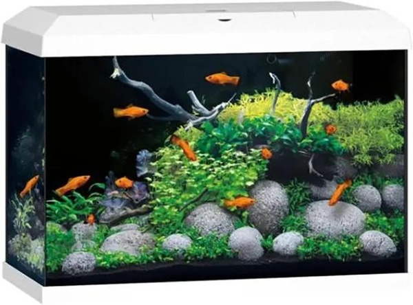 Juwel Aquarium-Set Primo 70 LED 2.0 in Weiß