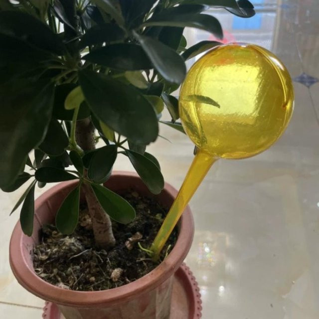 NATAWA Automatisches Pflanzenbewässerungsgerät in Gelb für Blumentöpfe und Garten - Bild 1