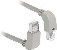 Delock Patchkabel RJ45 Cat.6a S/FTP Ethernet/LAN Grau, 2,0 m - Bild 1