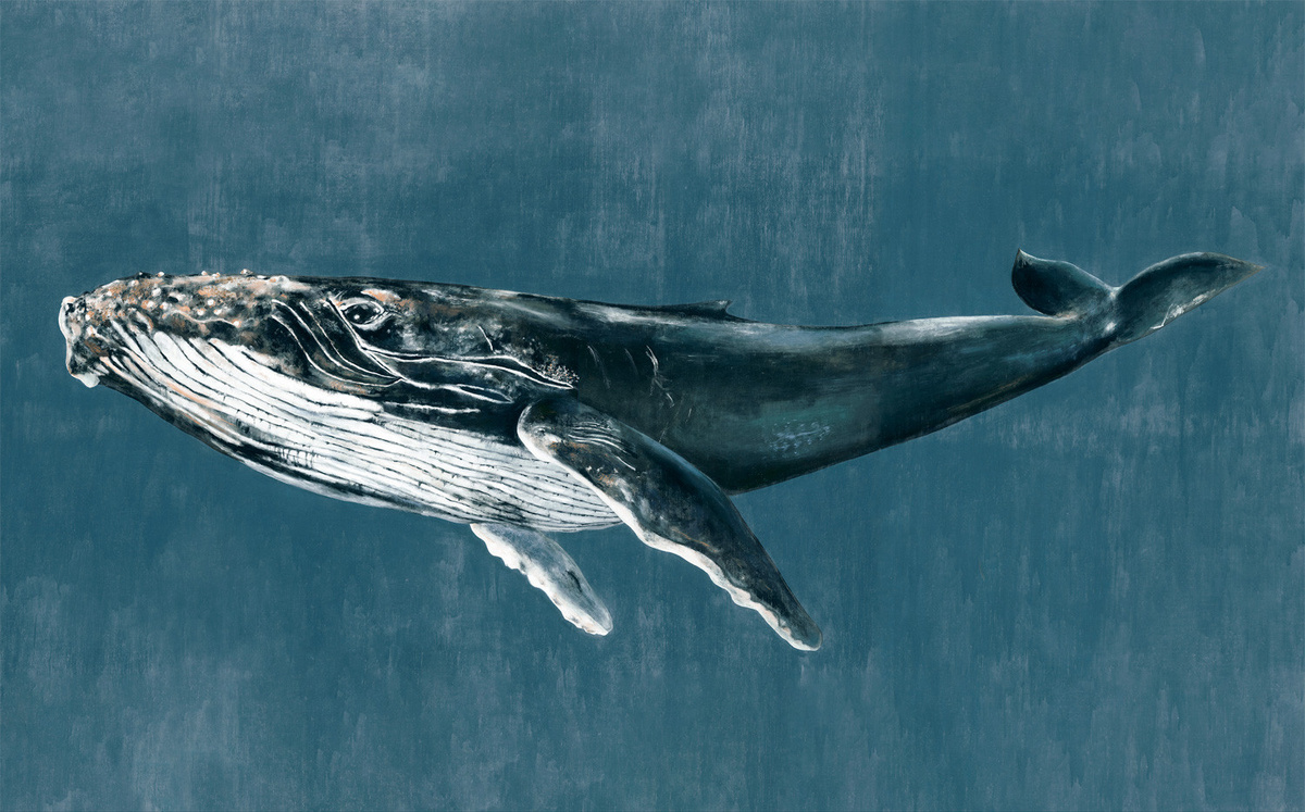 Coordonne Wandbehang Humpback Whale Vintage in Blau aus Textil - Bild 1