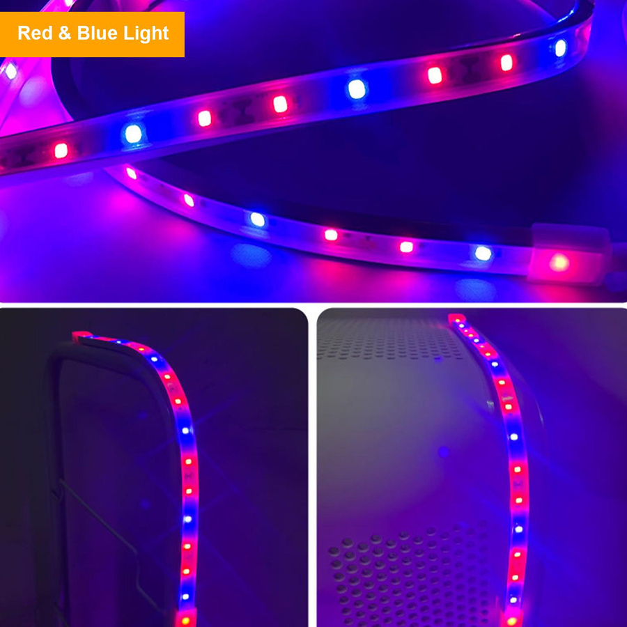 TOMTOP JMS LED Pflanzenwachstumslampe für Hydrokultur und Sukkulenten, Set aus 4 Lichtstreifen in Rot und Blau, Länge: 50 cm - Bild 2