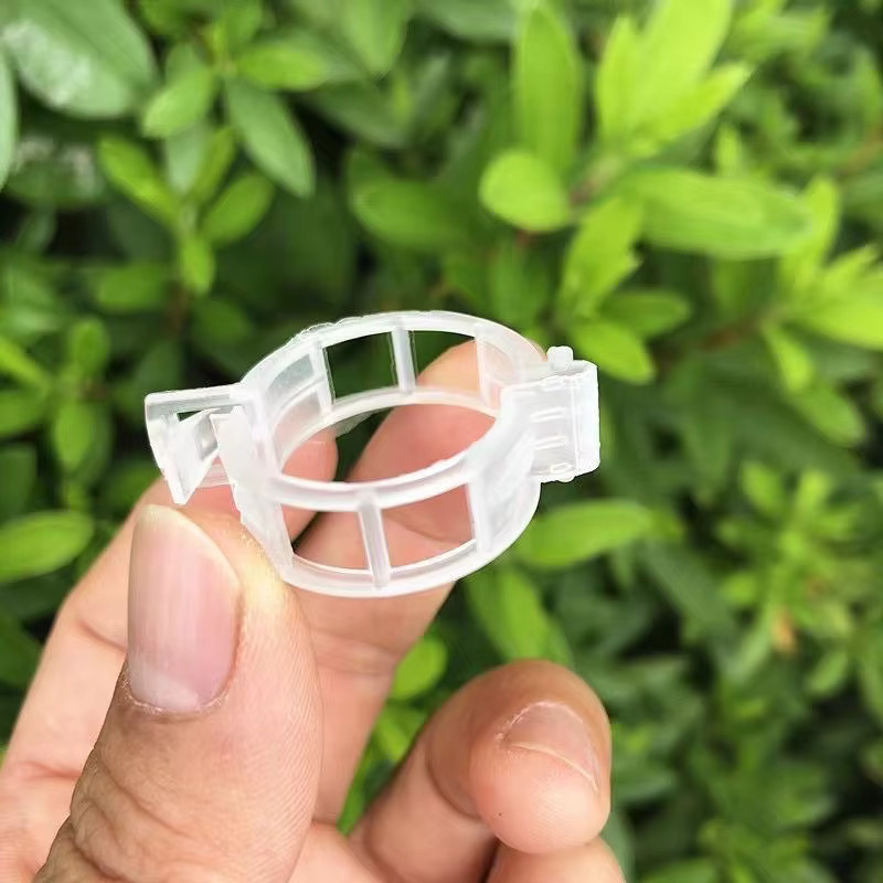 Wiederverwendbare Kunststoff-Pflanzenstützklammern in Transparent für Garten und Gewächshaus, 100 Stück - Bild 5