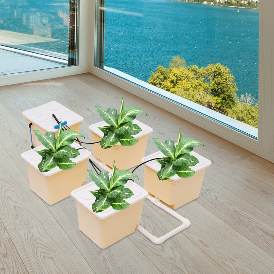 Bymaocar Garten-Hydrokultur-Set in Weiß mit 5 Eimern, 4 Netzbechern und einer Wasserpumpe für den Anbau von Gemüse, Obst und Blumen - Bild 2