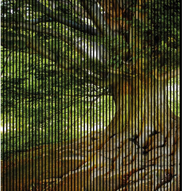 FN Acustico Akustikplatte Baum Design aus PET und MDF, Multicolor, H x B x T: 2.400 x 2.253 x 19 mm - Bild 1