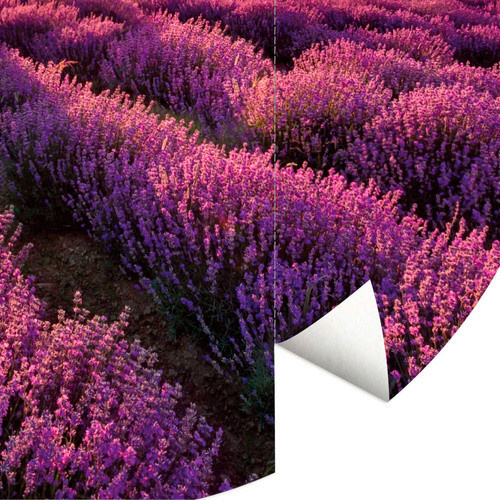 K&L Wall Art Vliestapete Lavendel Acker lila Landschaft, mehrfarbig, matt, B/H: 153 x 140 cm - Bild 2