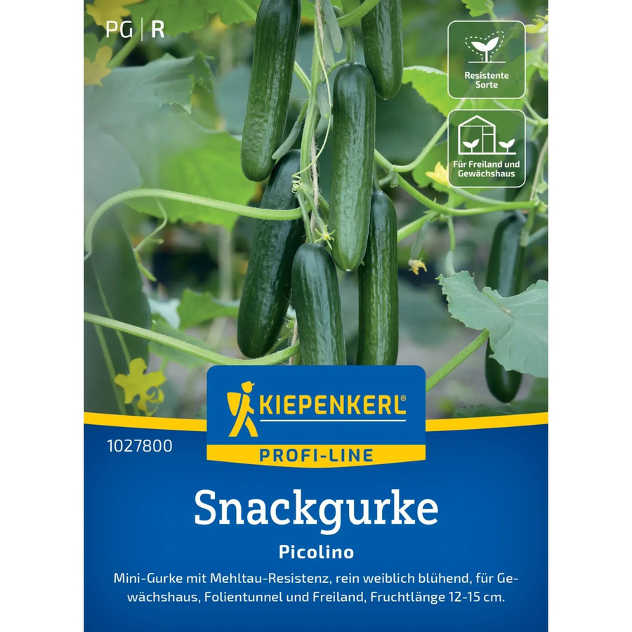 Kiepenkerl Profi-Line Saatgut Gurke Picolino für Freiland und Gewächshaus - Bild 2
