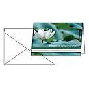 Sigel Trauerkarte Water Lily in Grün mit weißen gummierten Umschlägen, 10 Stück, B/H: 11,5 x 17,0 cm - Bild 1