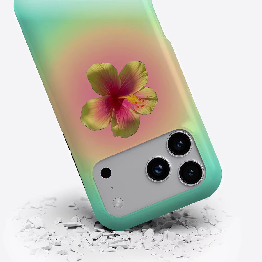 Potdemiel Leuchthülle mit Hibiskus Farbverlauf für iPhone 17 16 15 14 13 Pro Max Plus, magnetische Einzel- und Doppelschicht-Handyhülle, Multicolour - Bild 3