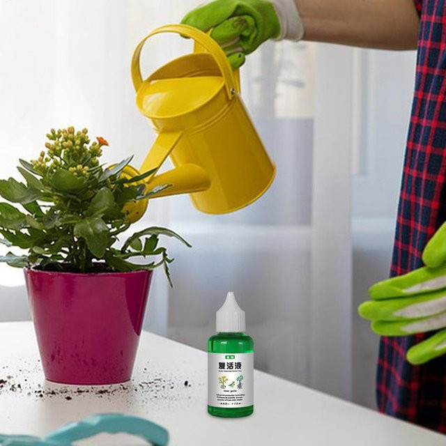 Pflanzenauferstehungsflüssigkeit als universelle Nährstofflösung für Gardenien und Orchideen zur Vitalitätssteigerung und für schnelles Wachstum, 50 ml - Bild 1