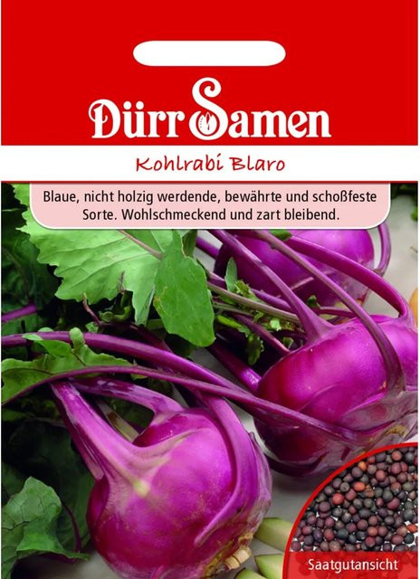 Dürr Kohlrabi Blaro Saatgut 7 g - Bild 1