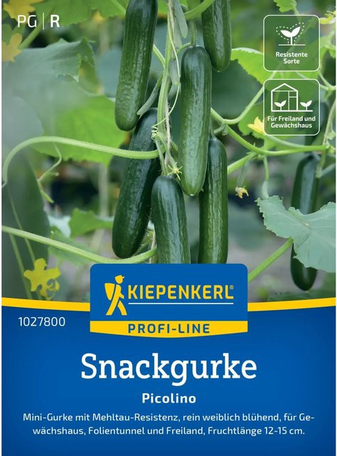 Kiepenkerl Profi-Line Saatgut Gurke Picolino für Freiland und Gewächshaus - Bild 1