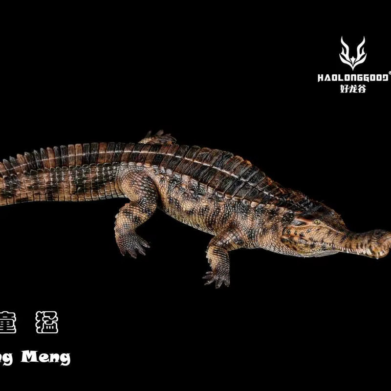 Bandai Sarcosuchus, Plastikmodell, 1/35 Maßstab - Bild 2