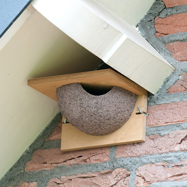 CJ Wildlife Nistkasten Mehlschwalbe aus Holzbeton in Grau und Braun mit Eingang rechts - Bild 1
