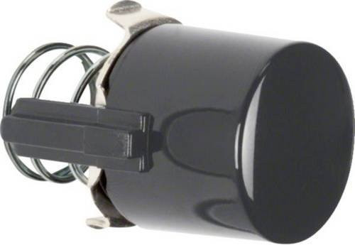 Hager Tasterknopf Schwarz glänzend WTF5285BG aus Kunststoff - Bild 1