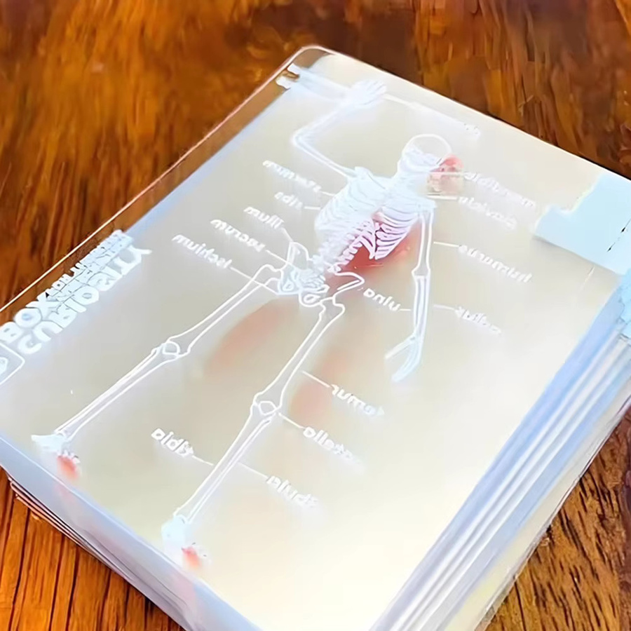 Alloet The Body Deck Cards, transparente Spielkarten, Kunststoff - Bild 4