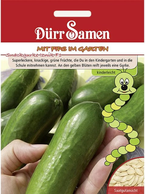 Dürr Snackgurken Iznik F1 Kindersorte Saatgut - Bild 1