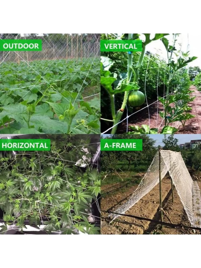 Kletternetz aus Polyester in Weiß als Rankhilfe für Gartenpflanzen wie Tomaten, Bohnen und Trauben - Bild 5