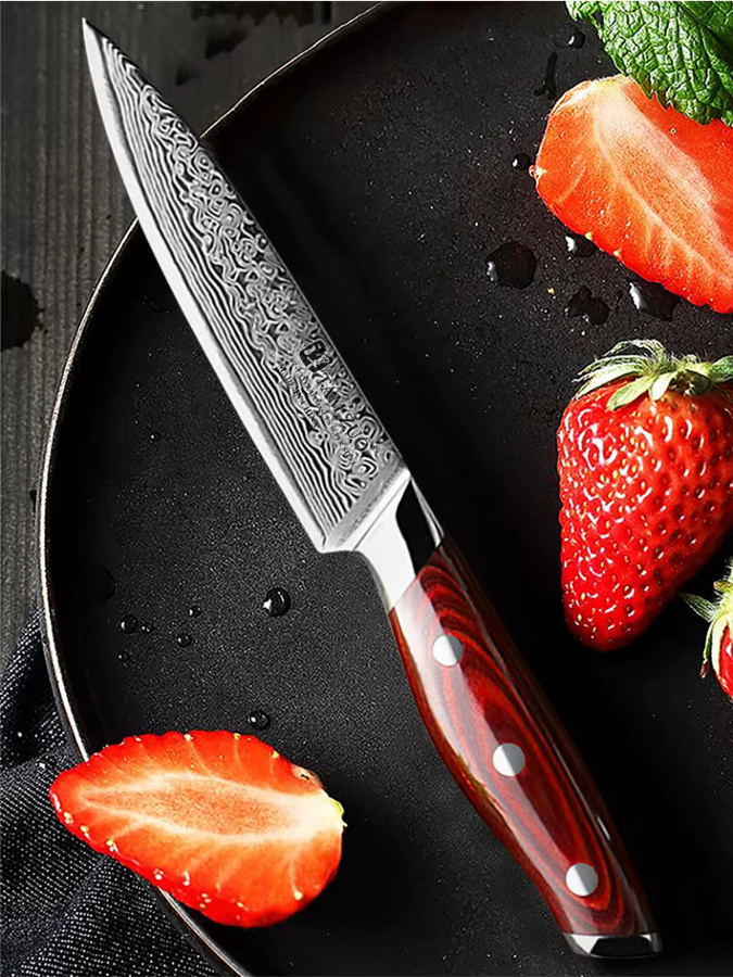 TAMZUO Japanisches Utility-Obstmesser aus 67-lagigem Damaststahl mit Holzgriff, 12,7 cm - Bild 5