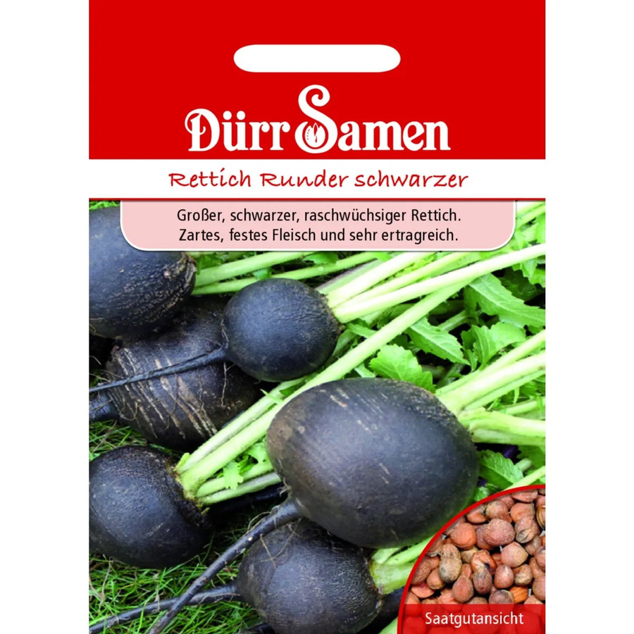 Dürr Winterrettich Runder Schwarzer Samen Saatgut 500 g - Bild 2