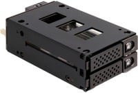Delock Slim Bay Wechselrahmen für 2 x 2.5 Zoll U.2 NVMe SSD Laufwerksgehäuse Schwarz - Bild 1