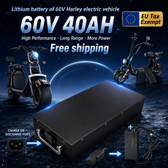 Premium Lithium-Ionen-Akku für Harley Elektromotoren unter 3000W, 60V, Farbe: Schwarz - Bild 1
