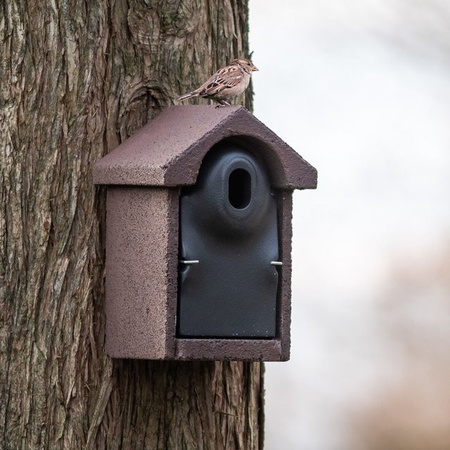 Nistkasten Bilbao WoodStone von CJ Wildlife aus Holzbeton in Schwarz und Braun mit ovaler Einflugöffnung 32 mm