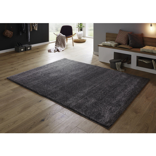 Astra Teppich Savona rechteckig aus Polypropylen in Grau, Breite: 80 cm, Länge: 150 cm - Bild 5