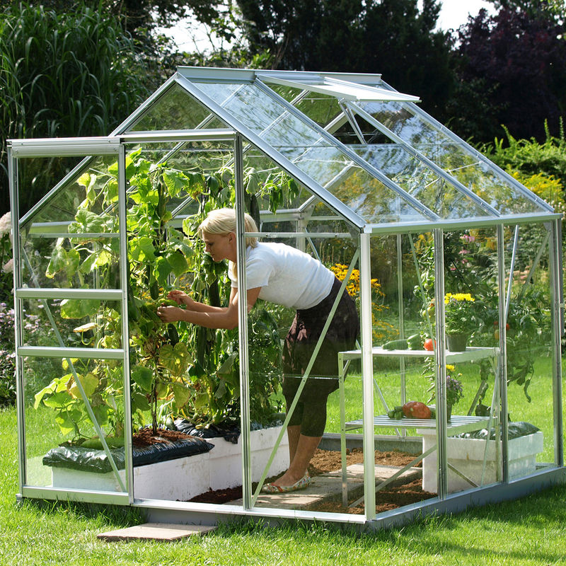 Vitavia Gewächshaus Venus 3800 aus eloxiertem Aluminium in Silber für deine Pflanzenzucht im Garten - Bild 3
