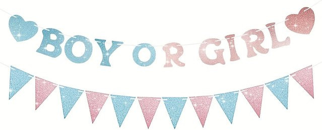 OURFETE Babyparty Dekoration Oh Baby Junge oder Mädchen Banner in Rosa, Blau und Multicolour als hängende Papier-Dekoration für die Geschlechts-Enthüllungs-Party - Bild 1