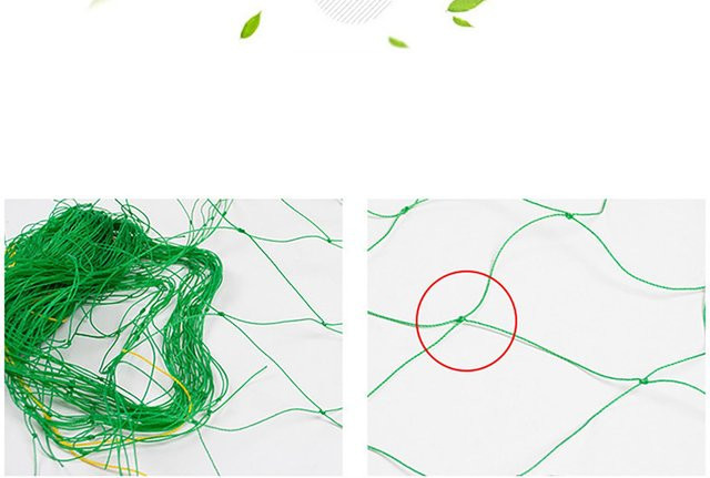 DIYelecs Ranknetz für Garten und Gemüseanbau aus Nylon, Farbe: Grün, B x H: 3,6 x 1,8 m - Bild 1