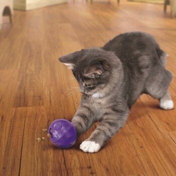 KONG Spielzeug Snack Ball - Bild 2