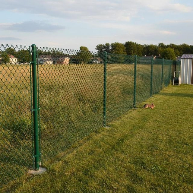 Grüner Maschendrahtzaun aus Stahl mit PVC-Beschichtung, rund, wetterfest und UV-beständig für deine Grundstücksumzäunung - Bild 1