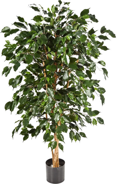 Künstlicher Chinesischer Ficus Ioannis von artplants in Grün, Höhe: 150 cm - Bild 1