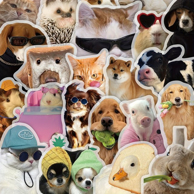50 Stück wasserfeste Hunde- und Katzen-Aufkleber mit lustigen Haustier-Emojis in Multicolour von RecordingYourLife Store - Bild 1