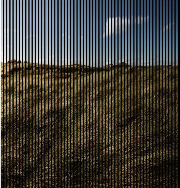 FN Acustico Akustikplatte Gras Design aus PET und MDF, Multicolor, H x B x T: 2400 x 2253 x 19 mm - Bild 1
