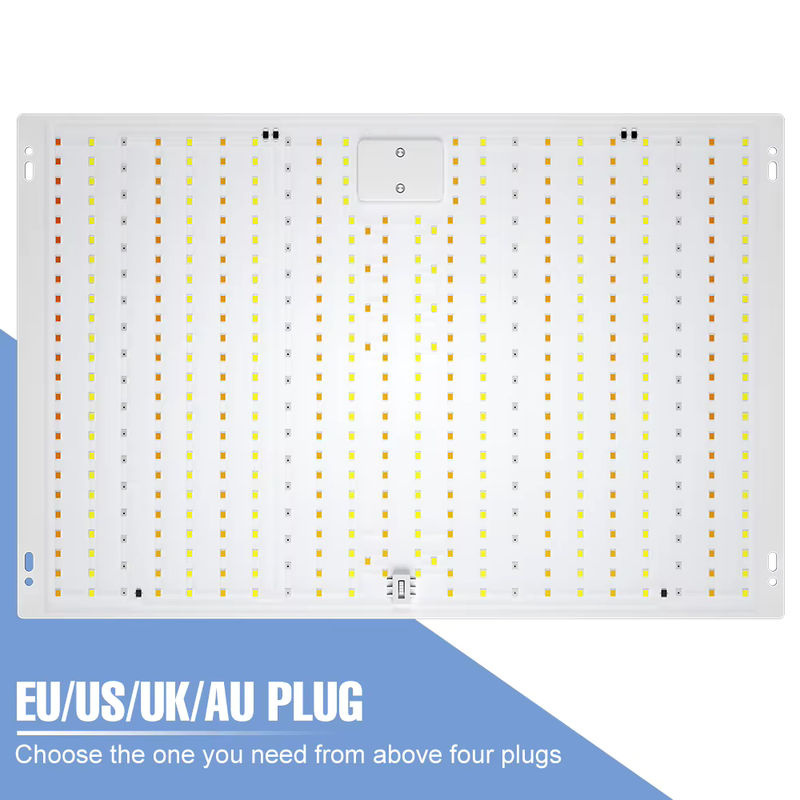 CanLing 350W Vollspektrum LED-Wachstumslampe Quantum-Board für Hydrokultur und die Kultivierung von Gemüse und Obst - Bild 5