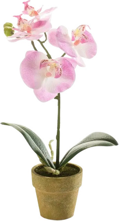 Künstliche Orchidee Lynn von Aplanta, Tischdeko mit 25 cm Höhe