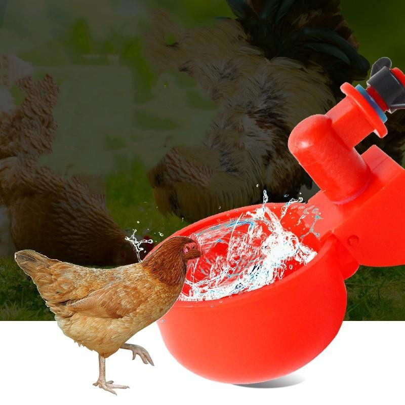 Automatischer Hühner-Futter- und Wasserspender aus Kunststoff für Geflügel wie Küken, Enten, Gänse und Wachteln - Bild 6