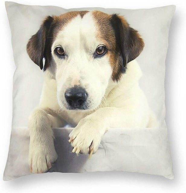 Kissenbezug mit Jack Russell Terrier Fotodruck aus Peach Skin für Sofa und Wohnzimmer, B/B/H: 18 x 18 x 18 cm - Bild 1