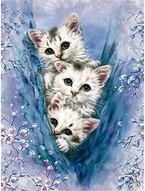 FIYO DIY 5D Diamant Malerei Katze Mosaik Set mit runden Diamanten in Grau, Breite: 30 cm, Höhe: 20 cm - Bild 1