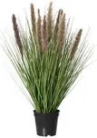DECORIS Kunstpflanze Lampenputzergras in Grün und Braun, B: 30 cm, H: 68 cm - Bild 1