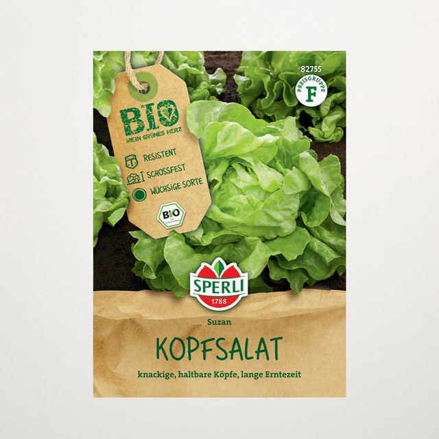 Sperli Kopfsalat Samen BIO Gemüse für den Garten - Bild 1