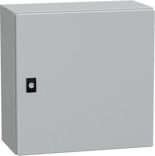 Schneider Electric Tür für Verteilungsschrank aus Stahl, Grau, B/H/T: 40 x 40 x 20 cm - Bild 1