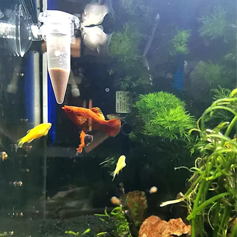 Automatischer Aquarium Futterautomat in Kegelform für Fische und Garnelen mit Saugnapf, transparent - Bild 3