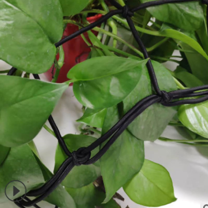 Schwarzes Trellis Garten Spalier als elastische Scrog Schutzhülle für Obstbäume und Pflanzen zur Unterstützung beim Wachsen, Breite: 40 cm - Bild 2