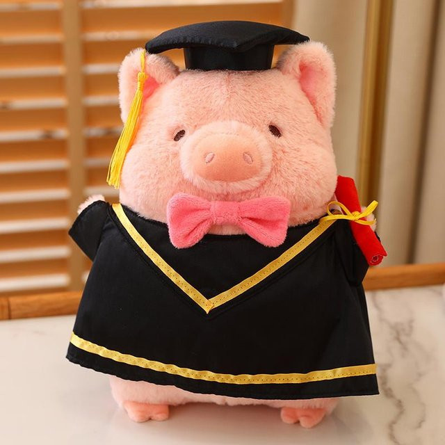 Yiran toy Arzt-Schwein, Plüschtier, Rosa / Pink - Bild 1