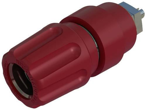 Hirschmann Test & Measurement PKNI 10 B Polklemme Rot 63A aus Messing - Bild 1